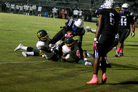 Pine Forest at Triton - 10/13/2023